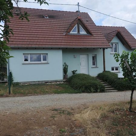 Les Cerisiers Villa Bernardswiller Esterno foto