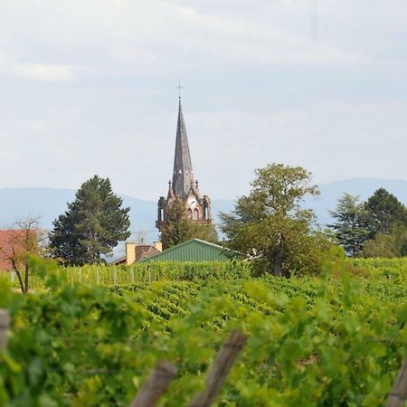 Les Cerisiers Villa Bernardswiller Esterno foto