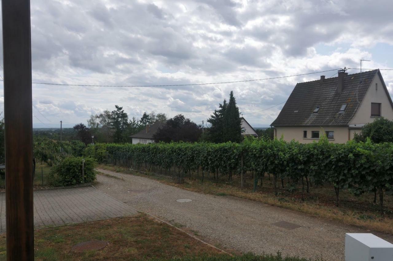 Les Cerisiers Villa Bernardswiller Esterno foto